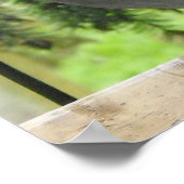 Perfecte duif poster (Hoek)