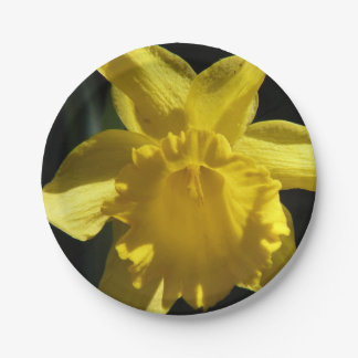 Perfecte Gele narcis Papieren Bordje