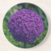 Perfecte Paarse Allium Flower Aesthetics Zandsteen Onderzetter (Voorkant)