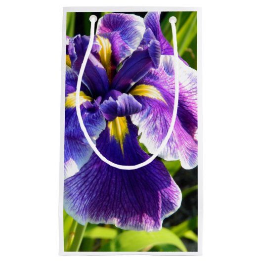 Perfecte Paarse Iris Gift Bag Klein Cadeauzakje (Voorkant)