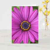 Perfecte Paarse ventilatorkop Kaart (Gele Bloem)