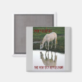 Perfecte reflectie.. magneet (Voorkant / Achterkant)