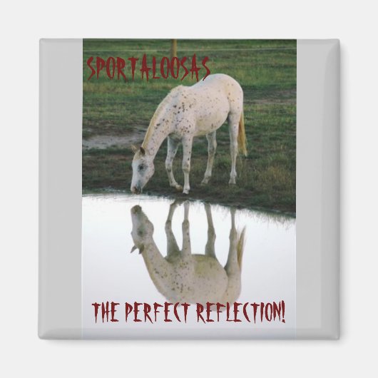 Perfecte reflectie.. magneet (Voorkant)