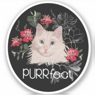 Perfecte witte kat sticker of de naam van je kat