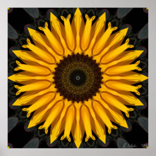 Perfecte zonnebloem poster