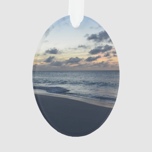 Perfection d'Aruba (dos)