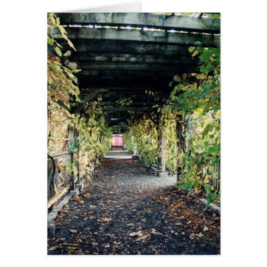 Pergola d'automne (Devant)