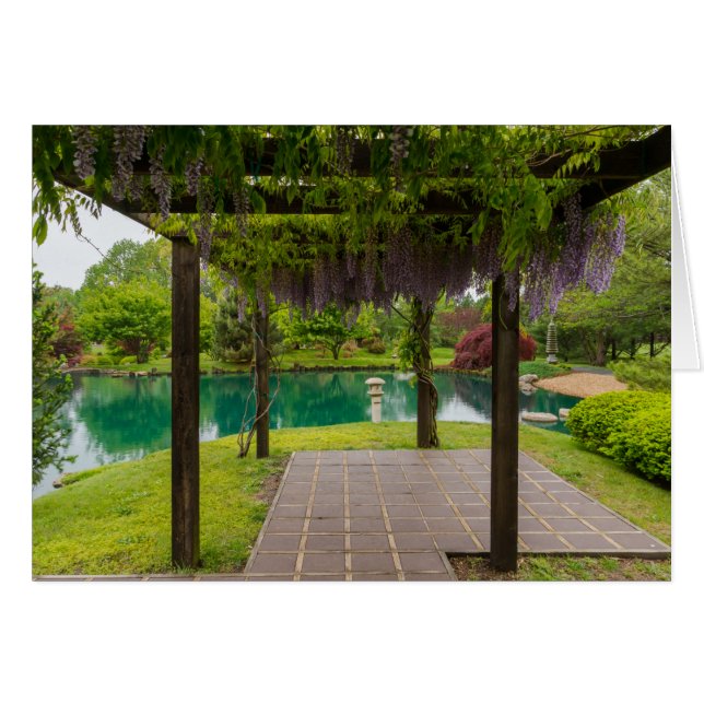 Pergola of Wisteria (Voorkant Horizontaal)