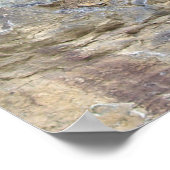 Perhesiestructuur Poster (Hoek)