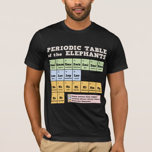 Periodieke tabel van de weeshuizen t-shirt (Voorkant)