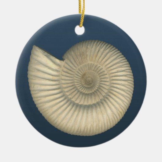 Perisphinctes Ammonite Keramisch Ornament (Voorkant)