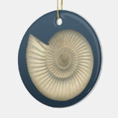 Perisphinctes Ammonite Keramisch Ornament (Links)