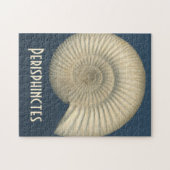 Perisphinctes Ammonite Legpuzzel (Horizontaal)