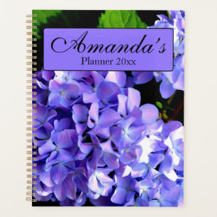 Périwinkel hydrangeas violet fleur bleu pour elle
