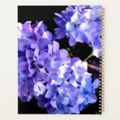 Périwinkel hydrangeas violet fleur bleu pour elle (Dos)