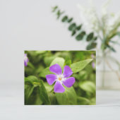 Periwinkle Briefkaart (Staand voorkant)