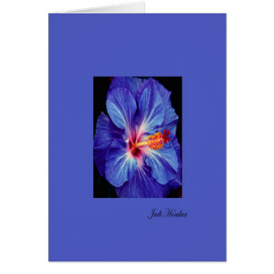 Periwinkle~Een van de meest versleten kleuren