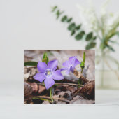 Periwinkle Flowers Briefkaart (Staand voorkant)