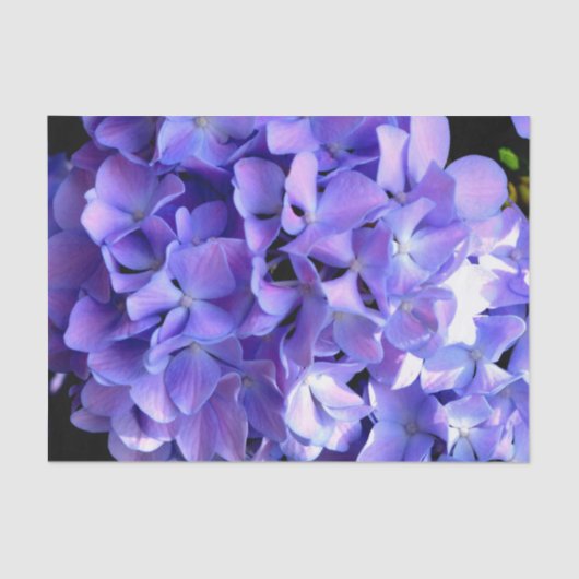 Periwinkle hydrangeas paardenbloemen blauwe bloeme tissuepapier (Voorkant)