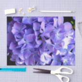 Periwinkle hydrangeas paardenbloemen blauwe bloeme tissuepapier (Craft)
