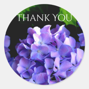 Periwinkle hydrangeas paarse blauwe bloem ronde sticker