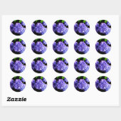 Periwinkle hydrangeas paarse blauwe bloem ronde sticker (Vel)