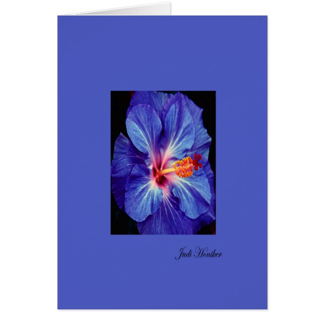 Periwinkle~Une des couleurs les plus usitées (Devant)