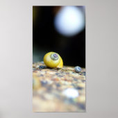 Periwinkles Poster (Voorkant)