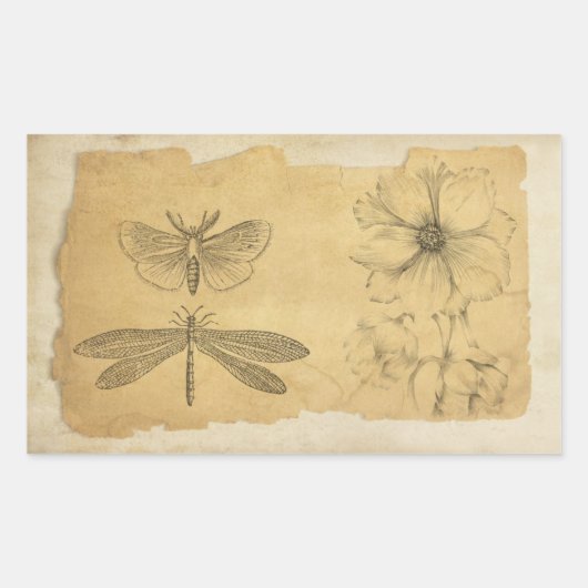  perkament collage scrapbook rechthoekige sticker (Voorkant)