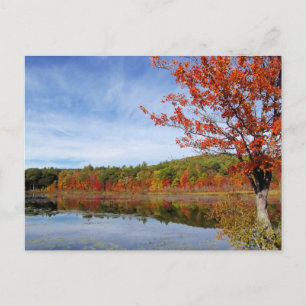 Perkins Pond Autumn Scene Briefkaart
