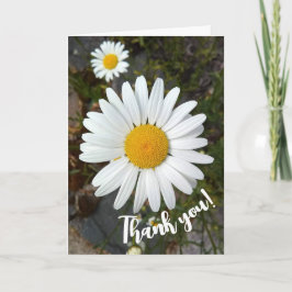 Perky White Daisy Flower Bedankt kaart