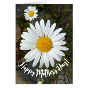 Perky White Daisy Flower Carte de la fête des mère