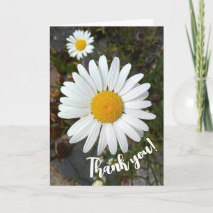 Perky White Daisy Flower Carte de remerciements