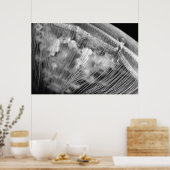 Perles de lune - Poster (Cuisine)