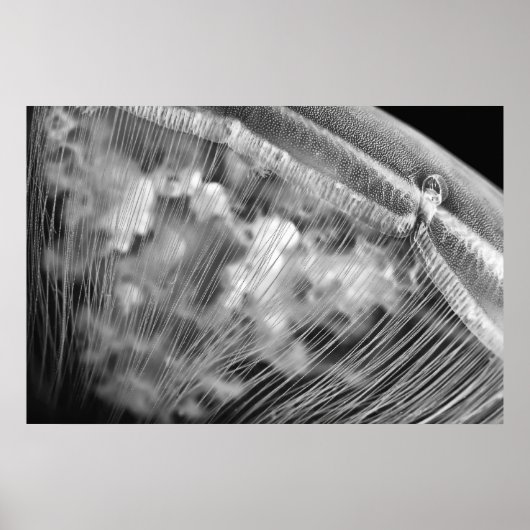 Perles de lune - Poster (Devant)
