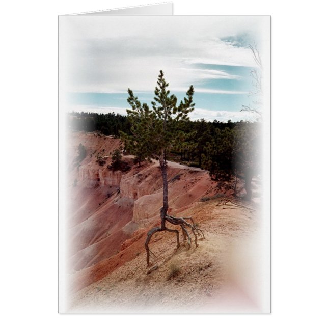 Permanent alleen bij Bryce Canyon (Voorkant)