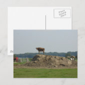 Permanent  Briefkaart (Voorkant / Achterkant)