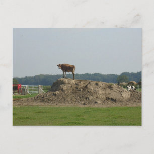 Permanent Briefkaart