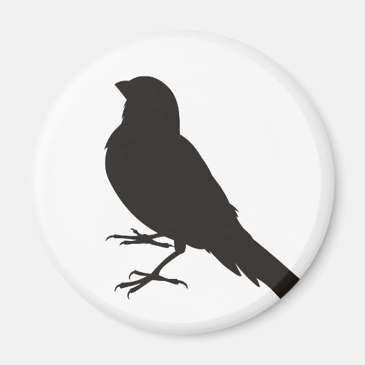 Permanent Canarische vogelpest Magneet (Voorkant)