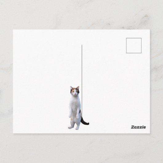 Permanent Cat Custom Message Fun Briefkaart (Achterkant)