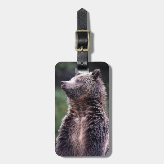 Permanent Grizzly-Beer Bagagelabel (Voorkant verticaal)