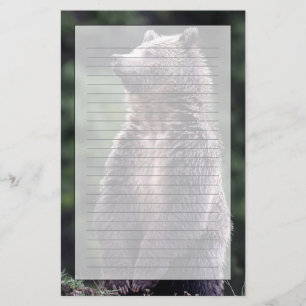 Permanent Grizzly-Beer Briefpapier