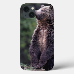 Permanent Grizzly-Beer iPhone 13 Hoesje