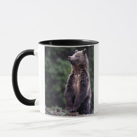 Permanent Grizzly-Beer Mok (Links)