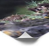 Permanent Grizzly-Beer Perfect Poster (Hoek)