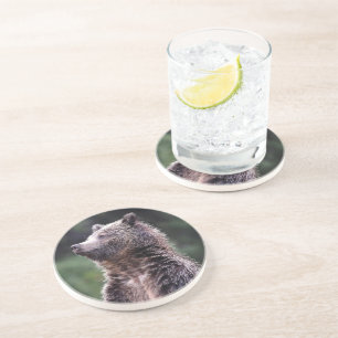 Permanent Grizzly-Beer Zandsteen Onderzetter