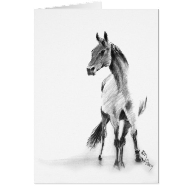 "Permanent paard" (Voorkant)