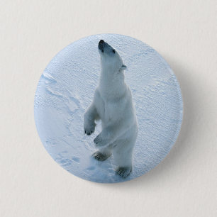 Permanent Polair Beer Ronde Button 5,7 Cm