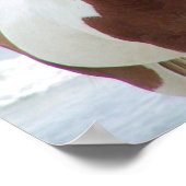 Permanent Poster (Hoek)