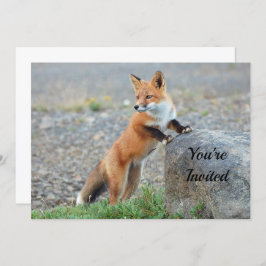 Permanent Red Fox Birthday Uitnodiging